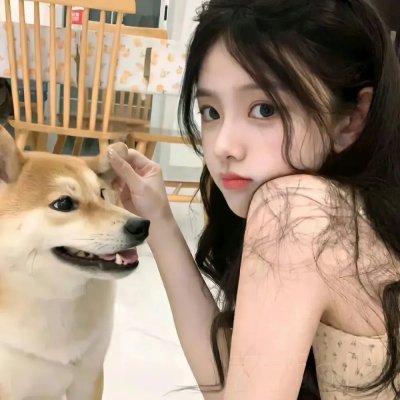 灵犬雪莉2：冒险再出发