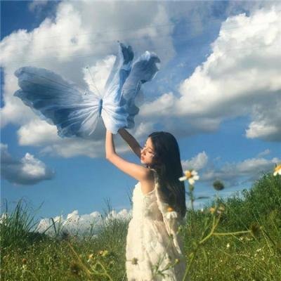 乌鸦：天空的流氓